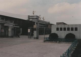 同类内容