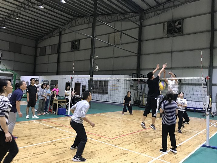 团结协作精神